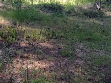 Granja El Membrillo
