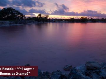 Departamento frente al mar con alberca privada, en venta, Telchac, Yucatán.