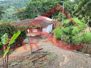 Se Arrienda Finca Avícola en Ebéjico