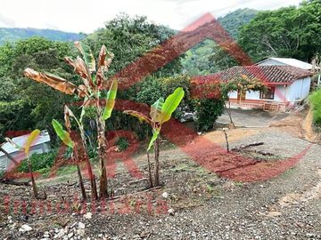 Se Arrienda Finca Avícola en Ebéjico