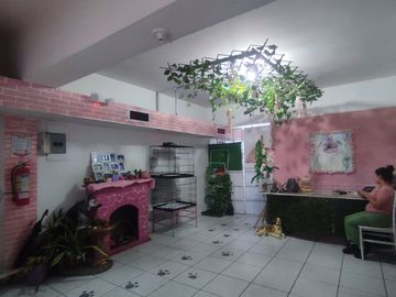 Venta Edificio comercial y residencial Urdesa Central Av Victor Emilio Estrada Guayaquil