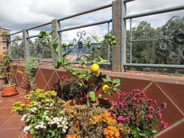 Lujoso Penthouse en venta 350m2C Sector Ordóñez Lasso
