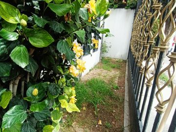 Casa en Río de la Soledad