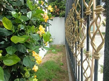 Casa en Río de la Soledad