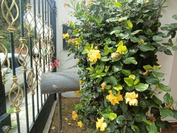 Casa en Río de la Soledad