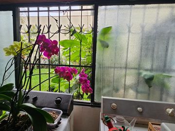 VENDO DEPARTAMENTO 1ER PISO 183M2 – SAN BORJA NORTE