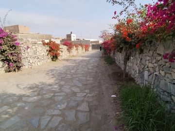 VENTA DE CASA EN EXCLUSIVO CONDOMINIO LA ARBOLEDA DE SANTAMARIA HUAURA NORTE CHICO