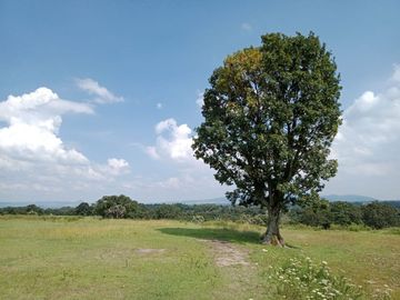 VENTA DE TERRENO EN CHAPA DE MOTA