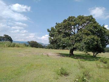 VENTA DE TERRENO EN CHAPA DE MOTA