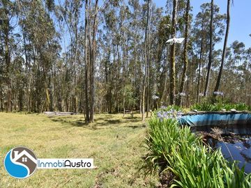 Tarqui, Venta de 01 Hectárea de Terreno con Casa Quinta Vacacional
