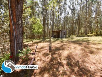 Tarqui, Venta de 01 Hectárea de Terreno con Casa Quinta Vacacional