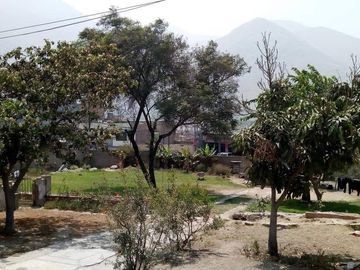 VENTA TERRENO CHOSICA ZONA CENTRICA