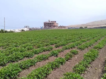 Venta de Terreno Frente Al Megapuerto de Chancay