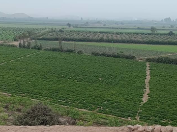 Venta de Terreno Frente Al Megapuerto de Chancay