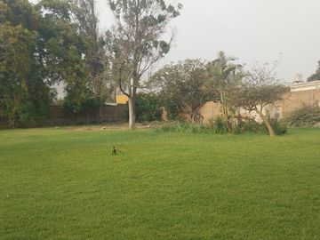 VENTA TERRENO CHACLACAYO SANTA INES