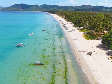 2,445 m2 / .55 Acres Sunset White Beach Investment in San Vicente