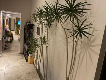 Venta de Casa de Un Piso en Haras Del Bosque Quintas Ecuestres