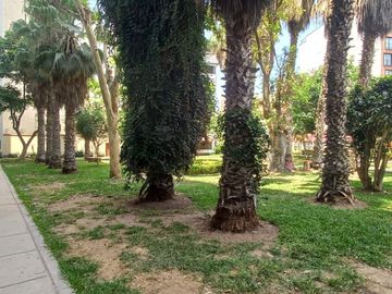 SE VENDE DEPARTAMENTO DE 2 HABITACIONES EN BARRIO MEDICO - SURQUILLO