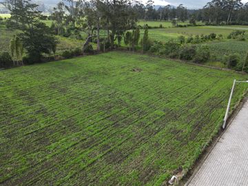 TERRENO EN VENTA / 4000m² / SECTOR ALOASÍ