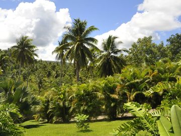5 Hectare Luxury Lifestyle farm modern house for Sale Baybay, Leyte Province