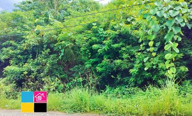 For Sale Prime Overlooking Lot in BonBon Busay Cebu City