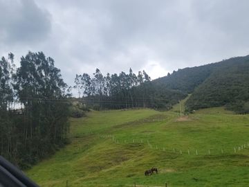 CASAS VIP EN CUENCA RIO AMARILLO