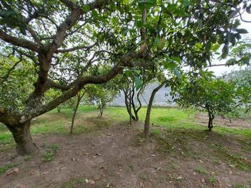 Vendo Quinta en el Quinche sector La Victoria 303 m2 de construcción. Con Piscina.