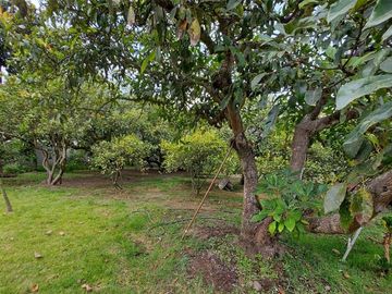 Vendo Quinta en el Quinche sector La Victoria 303 m2 de construcción. Con Piscina.