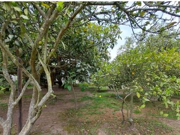 Vendo Quinta en el Quinche sector La Victoria 303 m2 de construcción. Con Piscina.