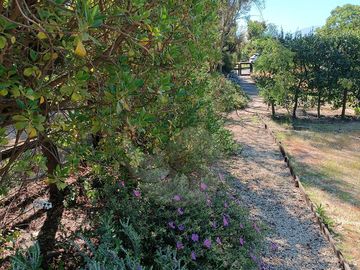 Casa en venta en en Alta Vista a pocos minutos de la Laguna de Zapallar