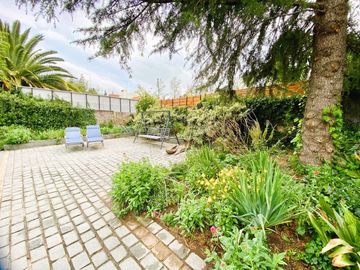 Amplia, Comoda, 1 Piso, Nororiente, Remodelada