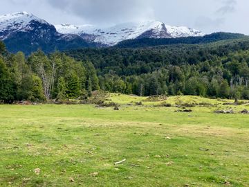 Terreno de 2 hectáreas ideal para un proyecto turístico o comercial en Futaleufú