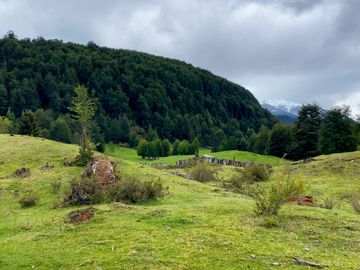 Terreno de 2 hectáreas ideal para un proyecto turístico o comercial en Futaleufú