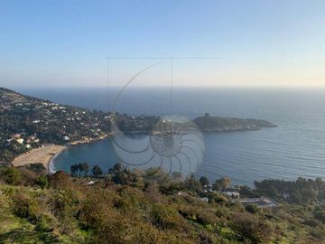 Venta de terrenos en Zapallar – ¡Increíble vista panorámica al mar!