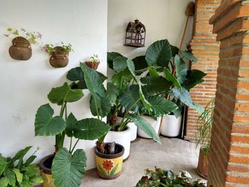 Se vende casa en Privada en Omitlan de Juarez, Hgo.