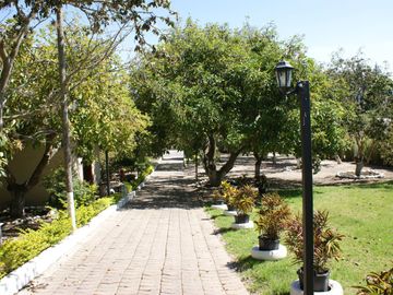 Quinta - Norte - Guayllbamba - Casa - Terreno - Quito