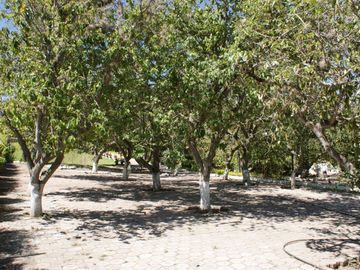 Quinta - Norte - Guayllbamba - Casa - Terreno - Quito
