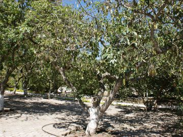 Quinta - Norte - Guayllbamba - Casa - Terreno - Quito