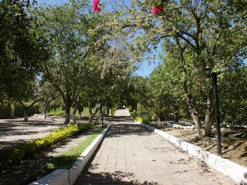 Quinta - Norte - Guayllbamba - Casa - Terreno - Quito