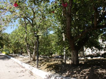 Quinta - Norte - Guayllbamba - Casa - Terreno - Quito