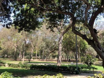 Lindo duplex, ubicado en el distrito de Lince muy cerca a San Isidro