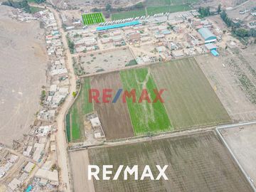 Venta De Terreno Agrícola: Ideal Para Inversores Y Agricultores