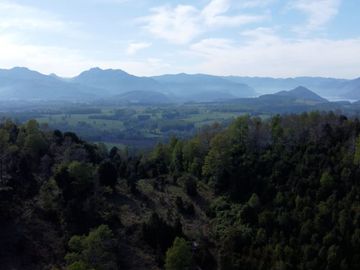 Desarrolla tu proyecto en un campo subdividido de 80 hectáreas cercano al lago Colico