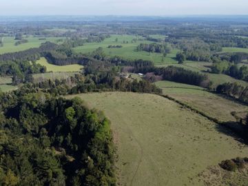 Desarrolla tu proyecto en un campo subdividido de 80 hectáreas cercano al lago Colico