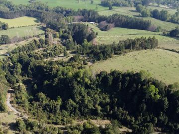 Desarrolla tu proyecto en un campo subdividido de 80 hectáreas cercano al lago Colico