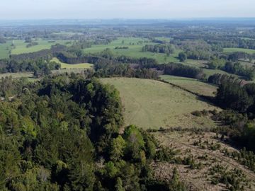 Desarrolla tu proyecto en un campo subdividido de 80 hectáreas cercano al lago Colico