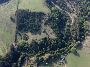 Desarrolla tu proyecto en un campo subdividido de 80 hectáreas cercano al lago Colico