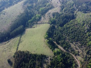 Desarrolla tu proyecto en un campo subdividido de 80 hectáreas cercano al lago Colico