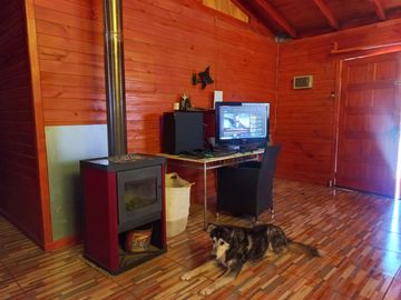 Nogales, en venta parcela plana de 5000 mts con casa sólida y urbanización completa.