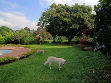 CASA CAMPESTRE EN VENTA POR PEREIRA PUEBLITO CAFETERO